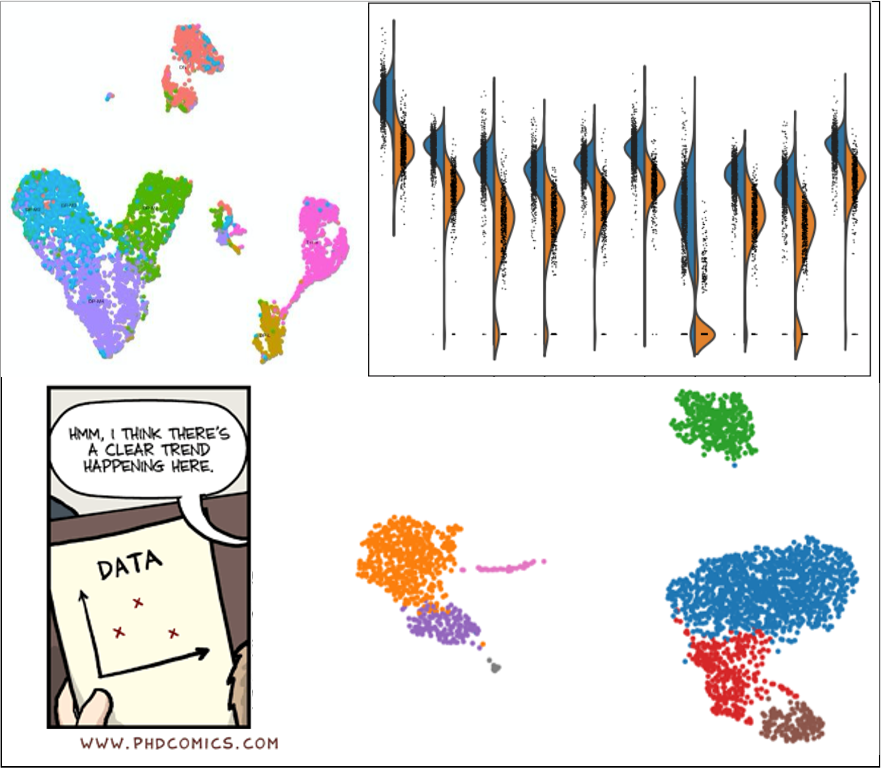 Pretty dots of different colours combined into two cell cluster plots on the sides. In the middle, a split violin plot showing the expression of unknown genes in blue on one side and the expression of the genes in an opposing sample in orange alongside. Snuck in between these three important plots is a PhD comic of data showing no trend, with the chat box “Hmm… I think there’s a clear trend happening here.”