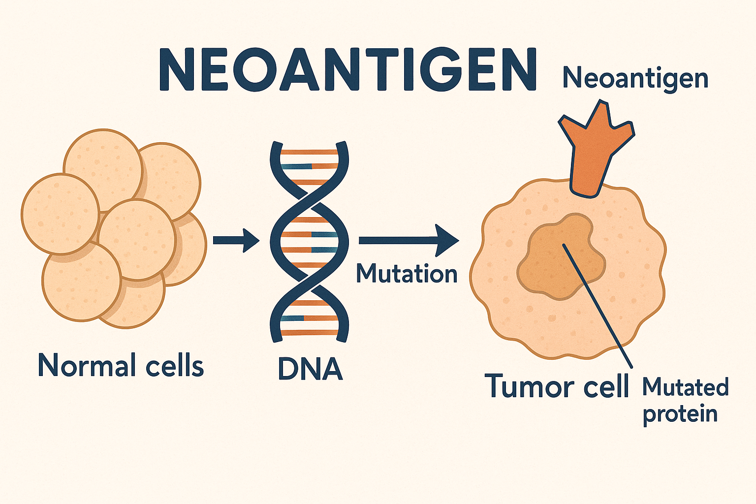 image of neoantigen mutation