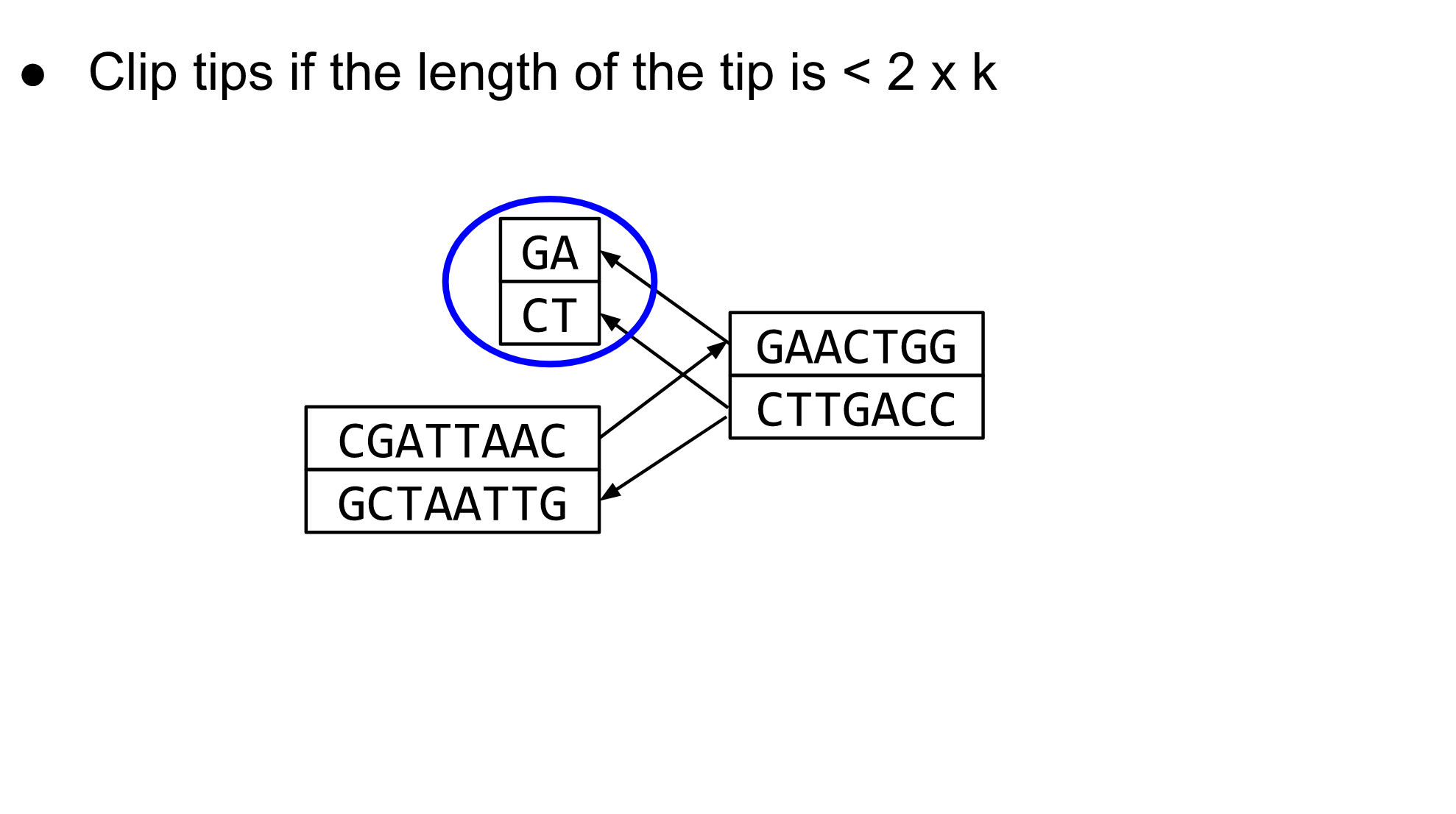 a graph with every node doubled for forward/reverse strands is shown, clip tips if the length of the tip of the node is less than 2 times k.