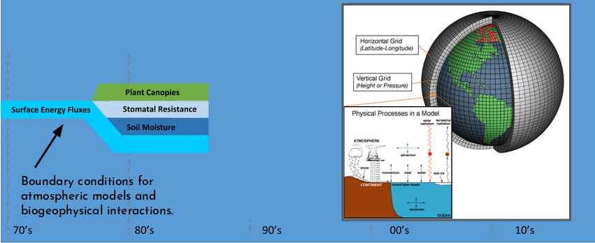 Evolution of land surface models