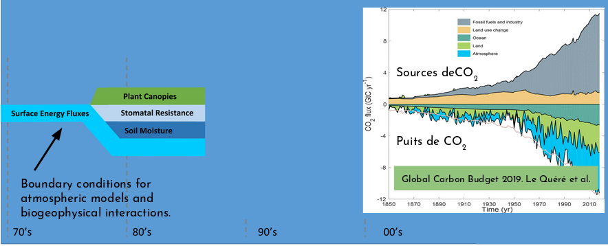 Global Carbon budget