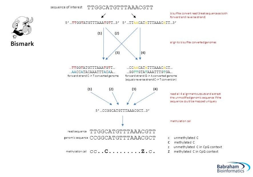 Illegible graphic from a paper showing reconstruction of methylated sequences.