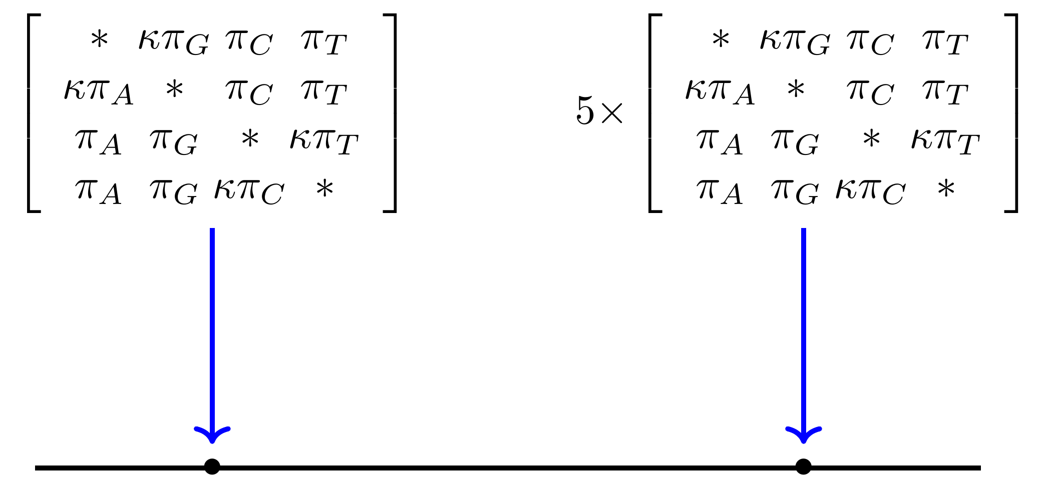 Schematic representing differences in the rate of substitutions at different sites. A line with two dots on it represents two positions within a gene. Blue arrows connect each dot to separate rate matrices. The matrices are identical but the matrix on the right is annotated 5x indicating that there are 5 times more substitutions at this site. Described at 33:00