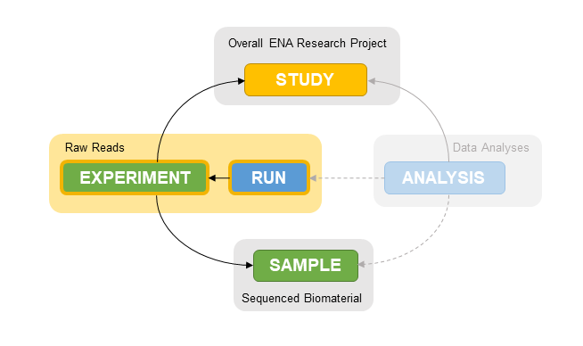 metadata-model