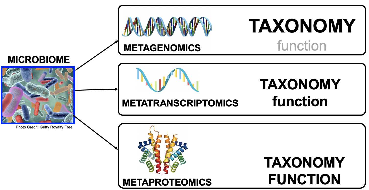 meta-momics diagram