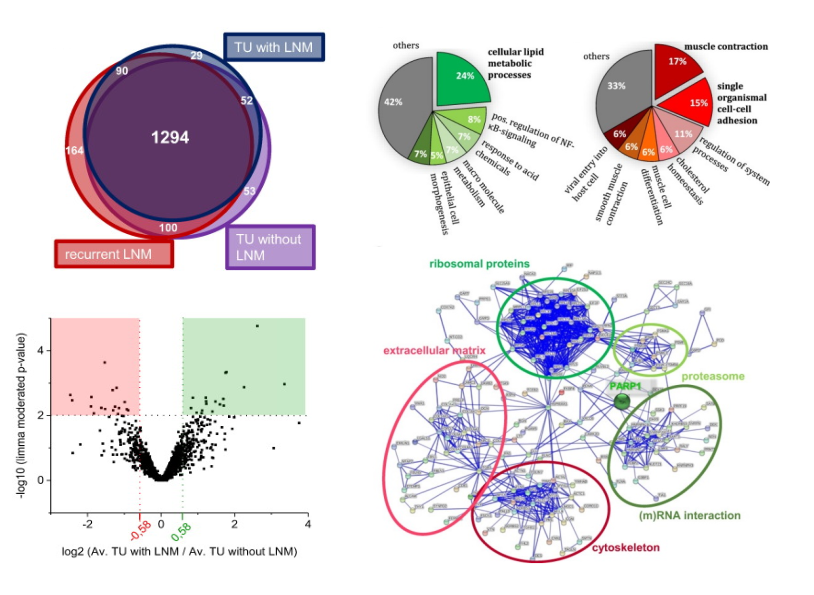 Graphic with several plot types.