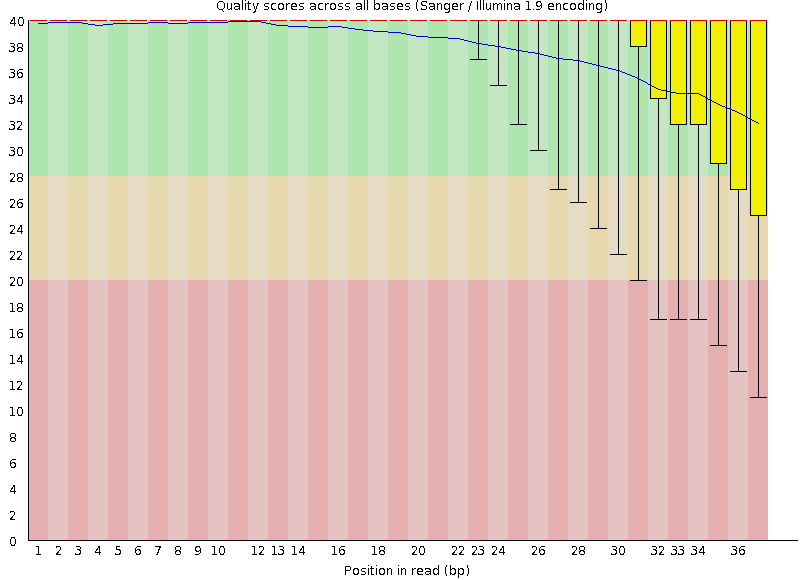 Fastqc quality score plot, most results are in the green region but the box portion of the box and whisker plot start to dip into the yellow, medium quality (less than 30) region near 34+ base position in read. The whiskers begin extending to the red region (less than 20) by base 31 and get progressively worse.