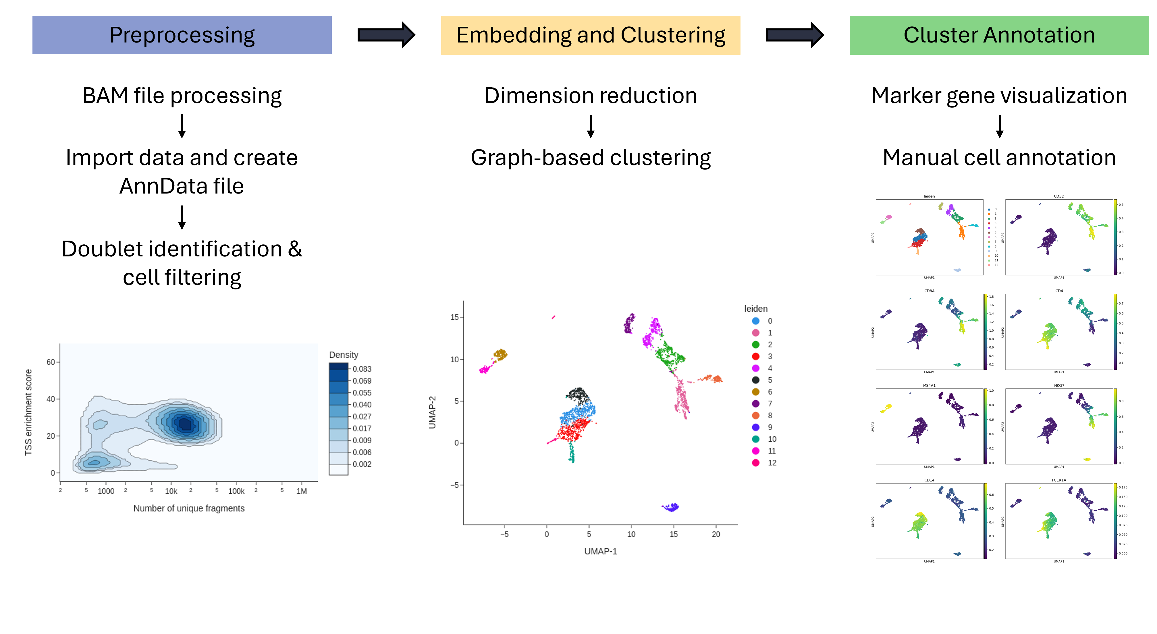 Analysis Pipeline with SnapATAC2