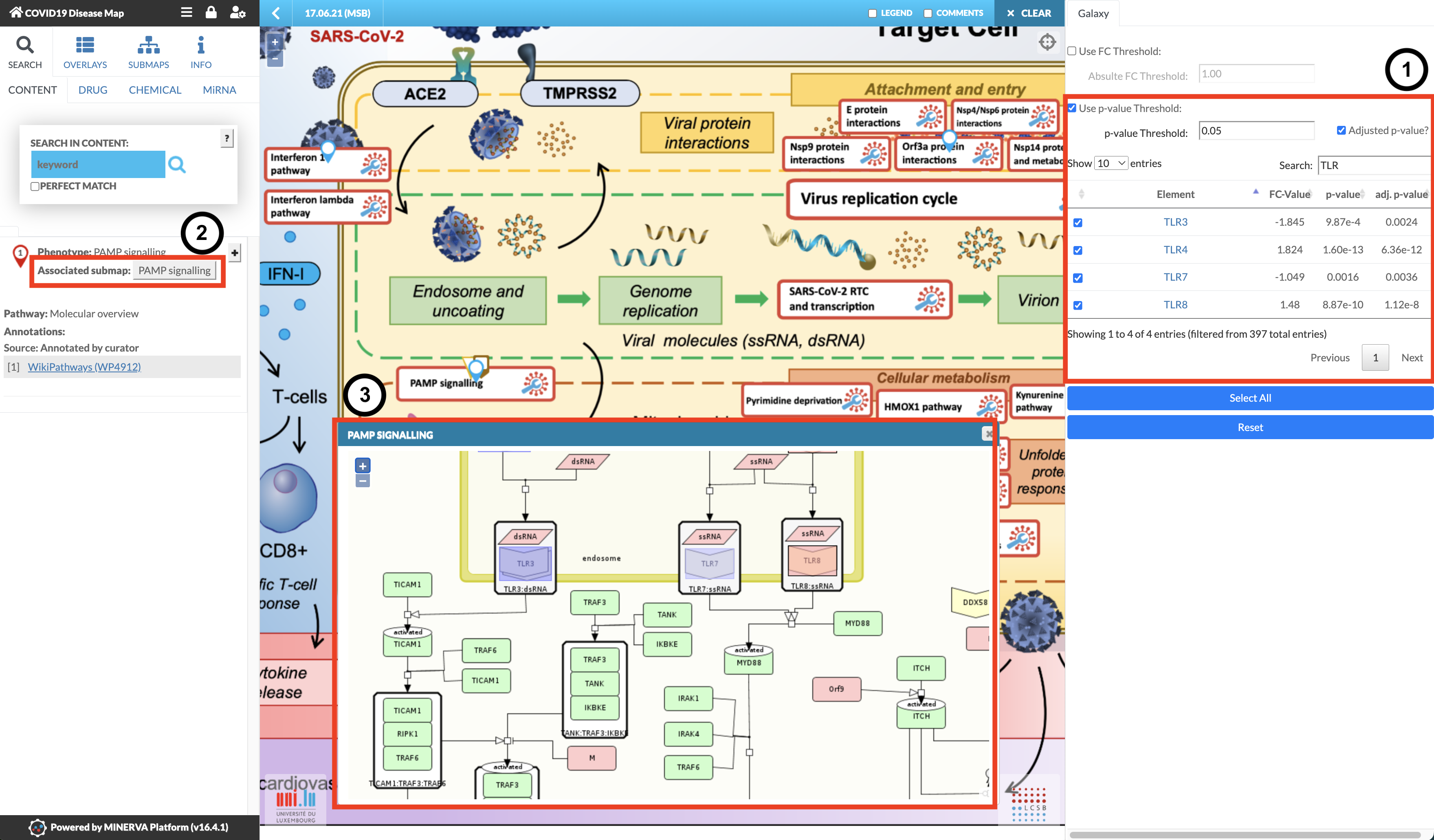 A screenshot of the MINERVA Platform's COVID-19 Disease Map showing the PAMP signalling pathway submap in view in center as well as some genes in a table to the right.