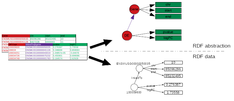 Two tables are provided, pointing to RDF abstraction with a small graph of DE, Gene, and their attributes. And RDF data which has the same graph as abstraction, but with real identifiers.