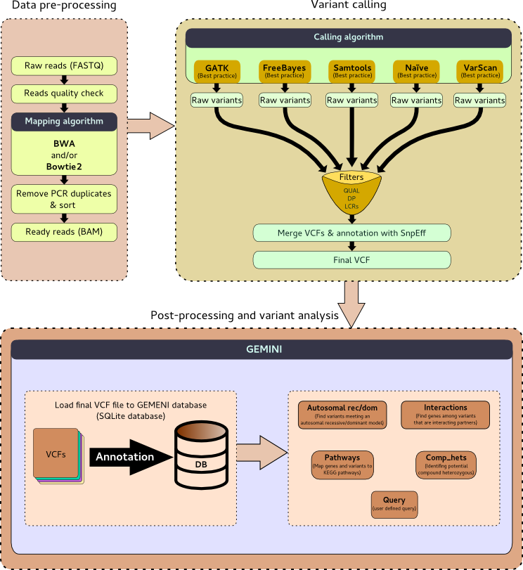 Pipeline showing data preprocessing followed by variant calling with GATK/FreeBayes/Samtools/Naïve/VarScan going through filtering to a final VCF file. This is sent to GEMINI for ppost processing and variant analysis.