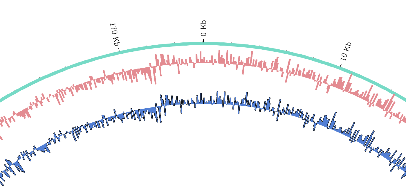 Histogram Plot